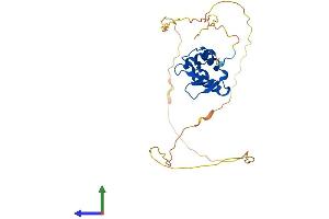 Protein Structure (PS) image for Spi-B Transcription Factor (Spi-1/PU.1 Related) (SPIB) (AA 1-267) protein (His tag) (ABIN7562385)