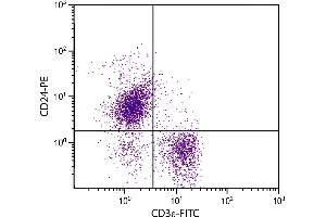 BALB/c mouse splenocytes were stained with Rat Anti-Mouse CD24-PE. (CD24 抗体  (PE))