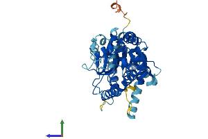 Protein Structure (PS) image for Asparagine-Linked Glycosylation 2, alpha-1,3-Mannosyltransferase Homolog (ALG2) (AA 1-415) protein (His tag) (ABIN7561277)
