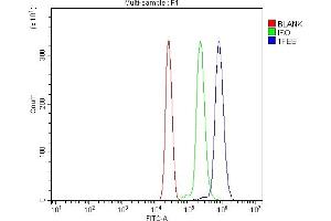 Flow Cytometry analysis of U937 cells using anti-TFEB antibody (ABIN7600648). (TFEB 抗体  (AA 214-326))