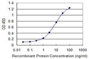Detection limit for recombinant GST tagged CNR2 is 0. (LGR4 抗体  (AA 852-950))