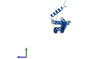 Protein Structure (PS) image for Bridging Integrator 3 (BIN3) (AA 1-253) protein (His tag) (ABIN7561527)