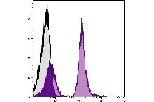 C57BL/6 mouse splenocytes were stained with Mouse Anti-Mouse CD19-APC/CY7. (CD19 抗体  (APC-Cy7))