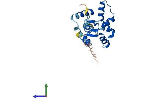 AlphaFold protein structure predicition of Mouse Recombinant Myl12b Protein, UniprotID Q3THE2