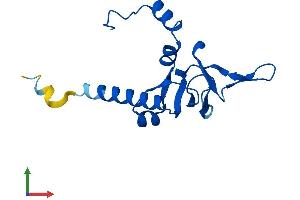 Protein Structure (PS) image for Ribosomal Protein L26-Like 1 (RPL26L1) (AA 1-145) protein (His tag) (ABIN7551432)