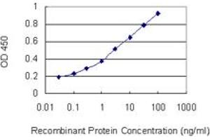 Detection limit for recombinant GST tagged DSC2 is 0. (Desmocollin 2 抗体  (AA 444-534))
