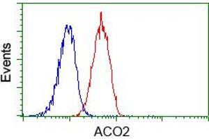 Image no. 2 for anti-Aconitase 2, Mitochondrial (ACO2) antibody (ABIN1496410) (ACO2 抗体)