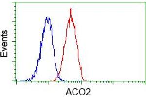 Image no. 2 for anti-Aconitase 2, Mitochondrial (ACO2) antibody (ABIN1496410)