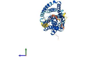 Protein Structure (PS) image for Solute Carrier Family 10 (Sodium/bile Acid Cotransporter Family), Member 1 (SLC10A1) (AA 1-349) protein (His tag) (ABIN7549929)