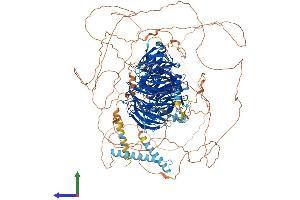 Protein Structure (PS) image for Mitogen-Activated Protein Kinase Binding Protein 1 (MAPKBP1) (AA 1-1503) protein (His tag) (ABIN7564054)