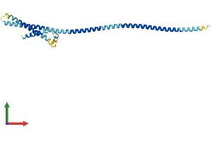 Protein Structure (PS) image for B-Cell Receptor-Associated Protein 29 (BCAP29) (AA 1-240) protein (His tag) (ABIN7557695)