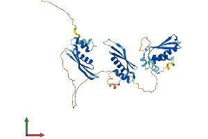Protein Structure (PS) image for TAR (HIV-1) RNA Binding Protein 2 (TARBP2) (AA 1-366) protein (His tag) (ABIN7555805)