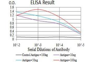 Black line: Control Antigen (100 ng);Purple line: Antigen (10ng); Blue line: Antigen (50 ng); Red line:Antigen (100 ng) (UHRF1 抗体  (AA 616-755))