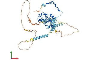 Protein Structure (PS) image for Ring Finger Protein 1 (RING1) (AA 1-406) protein (His tag) (ABIN7555224)