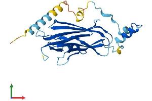 Protein Structure (PS) image for rho GDP Dissociation Inhibitor (GDI) gamma (ARHGDIG) (AA 1-225) protein (His tag) (ABIN7557763)