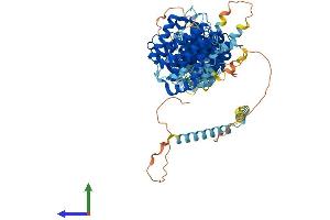AlphaFold protein structure predicition of Human Recombinant EFR3A Protein, UniprotID Q14156