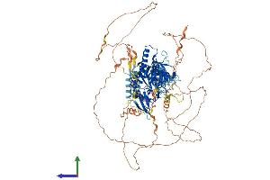 AlphaFold protein structure predicition of Mouse Recombinant Ctdp1 Protein, UniprotID Q7TSG2