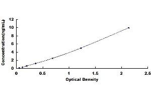 Typical standard curve (RHOA ELISA 试剂盒)