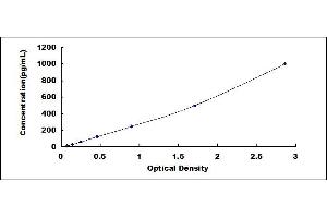 ELISA image for Platelet Derived Growth Factor Subunit B (PDGFB) ELISA Kit (ABIN4947950)