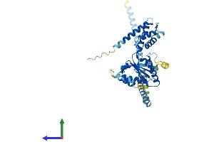AlphaFold protein structure predicition of Human Recombinant ATAD3C Protein, UniprotID Q5T2N8