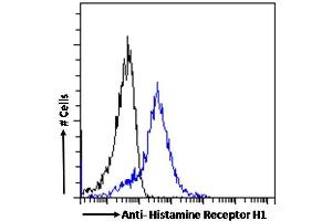 (ABIN185462) Flow cytometric analysis of paraformaldehyde fixed A431 cells (blue line), permeabilized with 0. (HRH1 抗体  (C-Term))
