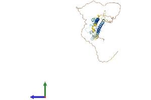Protein Structure (PS) image for Kinetochore-associated protein DSN1 homolog (DSN1) (AA 1-348) protein (His tag) (ABIN7560752)