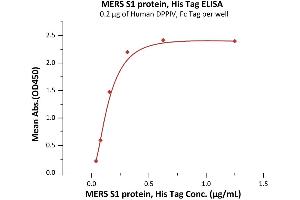 Immobilized Human DPPIV, Fc Tag (ABIN2180984,ABIN2180983) at 2 μg/mL (100 μL/well) can bind MERS S1 protein, His Tag (ABIN6973154) with a linear range of 0. (MERS-Coronavirus Spike Protein (AA 18-751) (His tag))