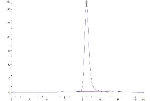 Size-exclusion chromatography-High Pressure Liquid Chromatography (SEC-HPLC) image for Family with Sequence Similarity 3, Member D (FAM3D) (AA 26-223) protein (Fc Tag) (ABIN7274580)