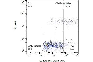 Flow cytometry analysis (surface staining) of human peripheral blood with anti-human lambda light chain (4C2) APC. (Lambda-IgLC 抗体  (APC))