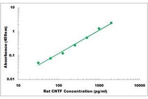 Representative Standard Curve (CNTF ELISA 试剂盒)