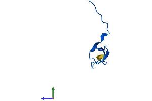 Protein Structure (PS) image for Polymerase (RNA) II (DNA Directed) Polypeptide K, 7.0kDa (POLR2K) (AA 1-58) protein (Fc Tag) (ABIN7557799)