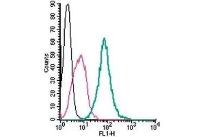 Cell surface detection of GPR55 in live intact mouse J774 macrophage cells: (black line) Cells. (GPR55 抗体  (Extracellular) (FITC))