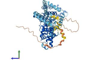 Protein Structure (PS) image for Suppression of Tumorigenicity 7 Like (ST7L) (AA 1-559) protein (His tag) (ABIN7559580)