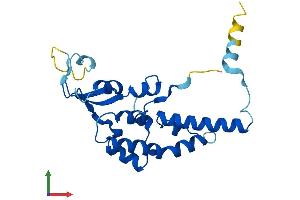 Protein Structure (PS) image for GINS Complex Subunit 3 (Psf3 Homolog) (GINS3) (AA 1-216) protein (His tag) (ABIN7551070)