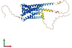 Protein Structure (PS) image for Prostaglandin E Receptor 1 (Subtype EP1), 42kDa (PTGER1) (AA 1-405) protein (His tag) (ABIN7563167)
