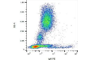 Flow cytometry analysis (surface staining) of human peripheral blood cells with anti-human IgM (CH2) PE. (小鼠 anti-人 IgM Antibody (PE))