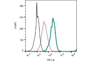 Cell surface detection of AXL by direct flow cytometry in live intact mouse  microglia cells: + Rabbit IgG Isotype Control-FITC (ABIN7582044). (AXL 抗体  (Extracellular) (FITC))