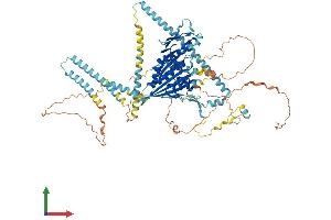 Protein Structure (PS) image for Kinesin Family Member 3C (KIF3C) (AA 1-793) protein (His tag) (ABIN7548897)