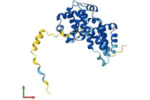 Protein Structure (PS) image for Cyclin G1 (CCNG1) (AA 1-295) protein (His tag) (ABIN7553210)