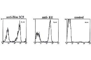 Flow cytometry data in permeabilized and fixed transfected cells using anti-Bim, mAb (3C5) , anti-EE (positive control) or secondary antibody alone (negative control). (BimS, EL, L (AA 20-40) 抗体)