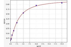 UNC5B ELISA 试剂盒