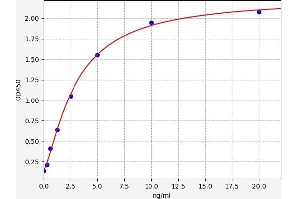 UNC5B ELISA 试剂盒