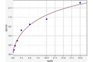 Typical standard curve (GPRC5A ELISA 试剂盒)