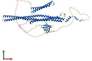Protein Structure (PS) image for Formin Binding Protein 1 (FNBP1) (AA 1-617) protein (His tag) (ABIN7553976)