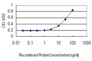 Detection limit for recombinant GST tagged DLD is approximately 1ng/ml as a capture antibody. (DLD 抗体  (AA 1-509))