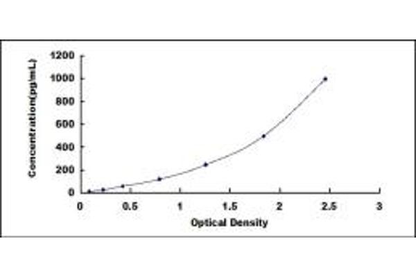 Oncostatin M ELISA 试剂盒