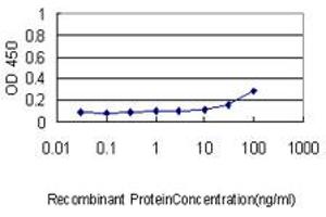 Detection limit for recombinant GST tagged ENO1 is approximately 0. (ENO1 抗体  (AA 1-434))