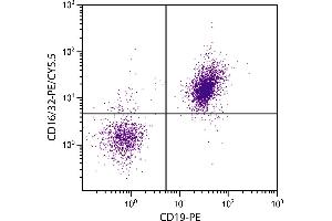 BALB/c mouse splenocytes were stained with Rat Anti-Mouse CD16/32-PE/CY5. (CD32/CD16 抗体  (PE-Cy5.5))