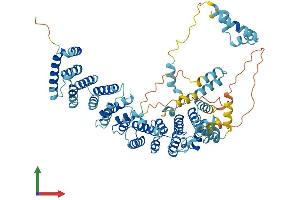 AlphaFold protein structure predicition of Human Recombinant SDAD1 Protein, UniprotID Q9NVU7 (SDAD1 Protein (AA 1-687) (His tag))