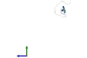 Protein Structure (PS) image for Spindle Assembly 6 Homolog (SASS6) (AA 1-657) protein (His tag) (ABIN7555411)
